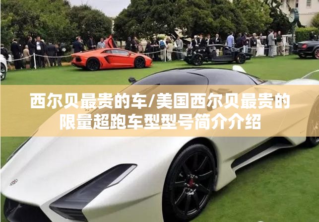 西尔贝最贵的车/美国西尔贝最贵的限量超跑车型型号简介介绍