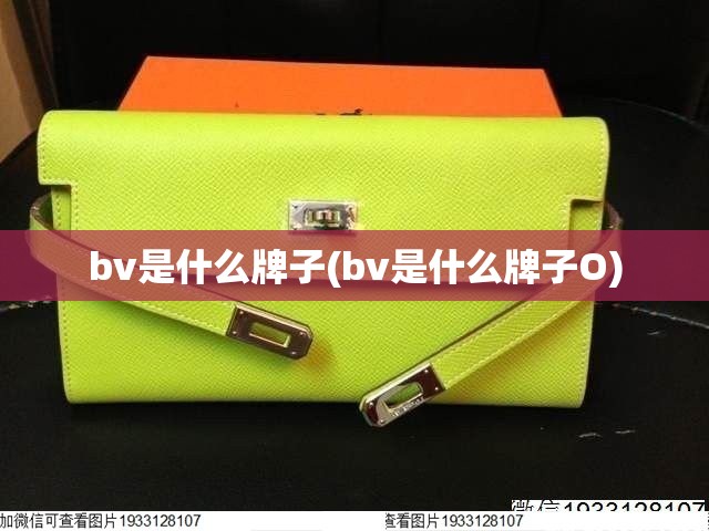 bv是什么牌子(bv是什么牌子O)