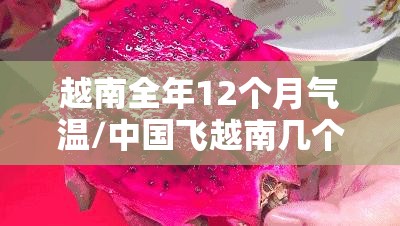 越南全年12个月气温/中国飞越南几个小时 越南全年12个月气温/中国飞越南几个小时