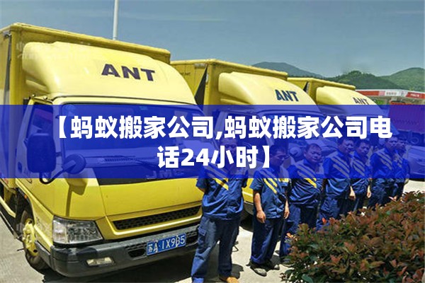 【蚂蚁搬家公司,蚂蚁搬家公司电话24小时】