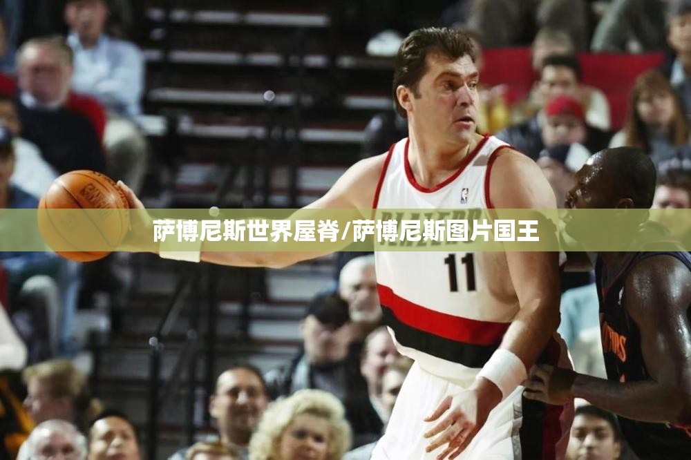 萨博尼斯世界屋脊/萨博尼斯图片国王