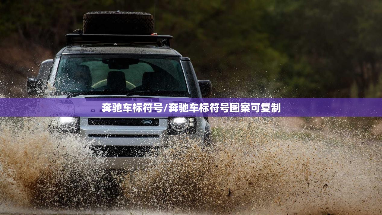 奔驰车标符号/奔驰车标符号图案可复制