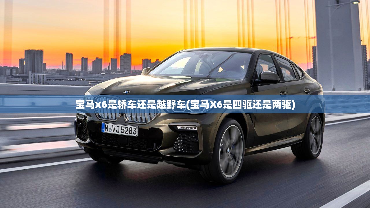 宝马x6是轿车还是越野车(宝马X6是四驱还是两驱)