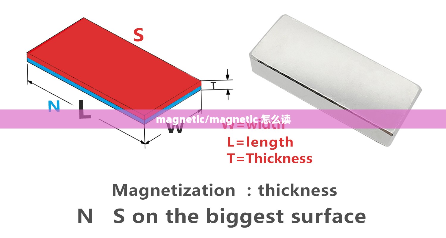 magnetic/magnetic 怎么读