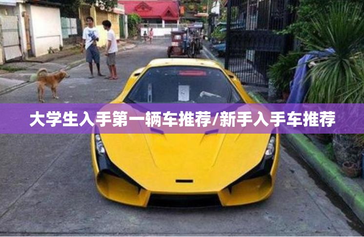 大学生入手第一辆车推荐/新手入手车推荐