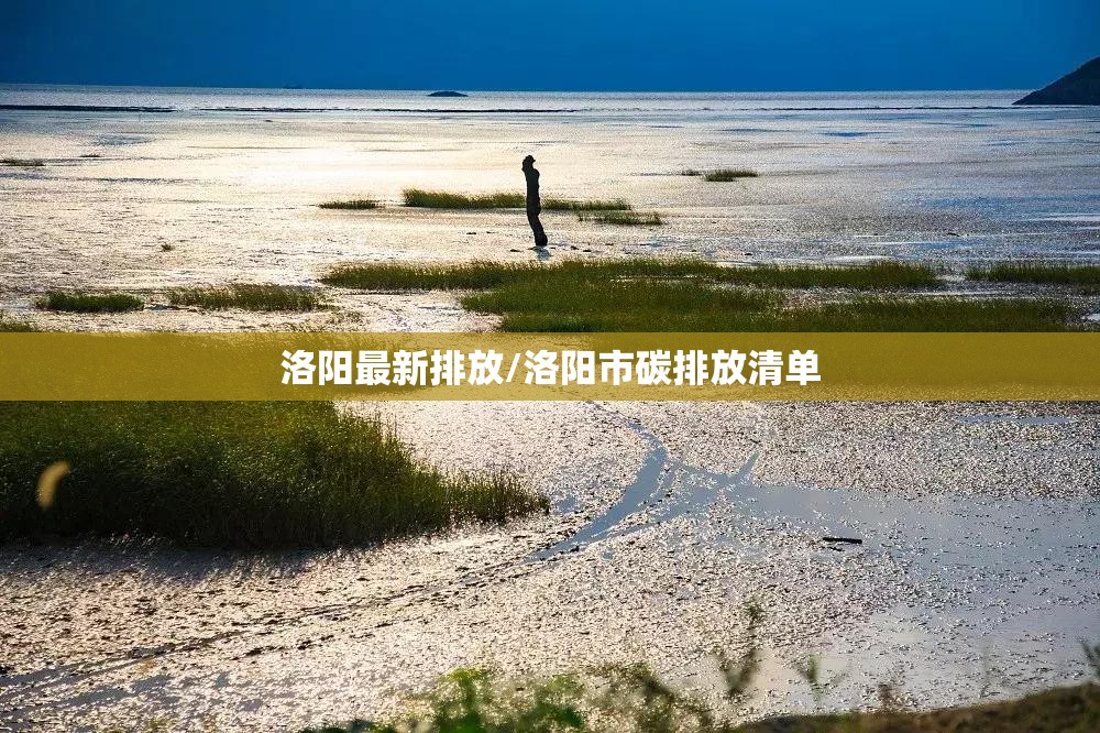 洛阳最新排放/洛阳市碳排放清单