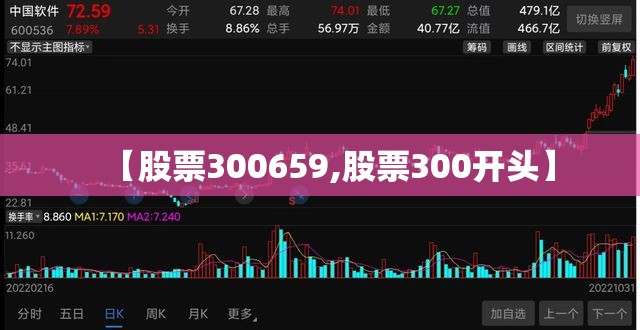 【股票300659,股票300开头】