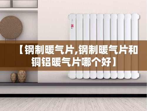 【钢制暖气片,钢制暖气片和铜铝暖气片哪个好】