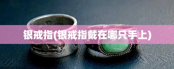 金杯海狮6座图片(金杯海狮9座报价图片) 金杯海狮6座图片(金杯海狮9座报价图片)