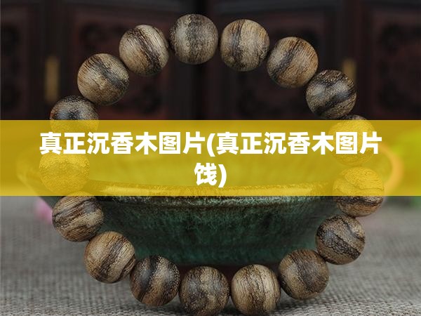 真正沉香木图片(真正沉香木图片饯)