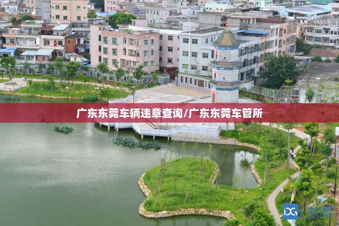 广东东莞车辆违章查询/广东东莞车管所 广东东莞车辆违章查询/广东东莞车管所