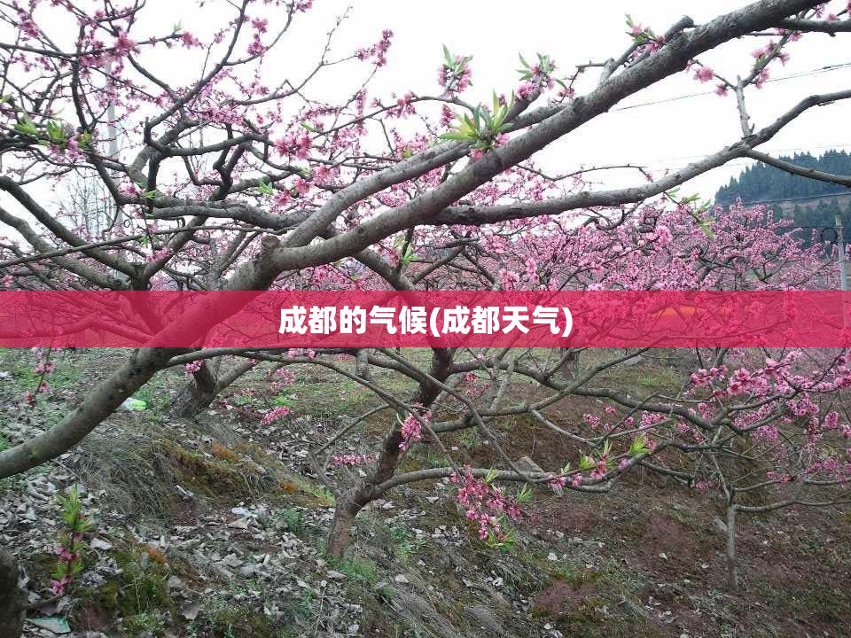 成都的气候(成都天气) 成都的气候(成都天气)
