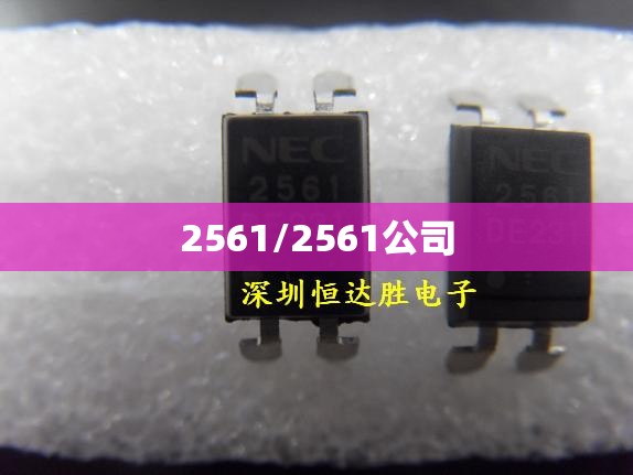 2561/2561公司