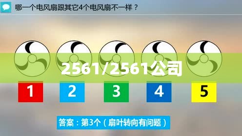 2561/2561公司