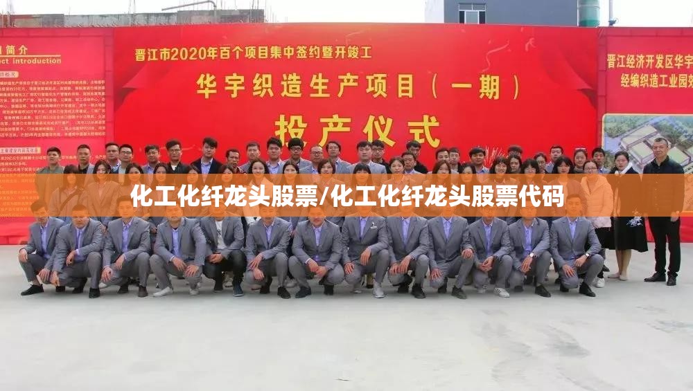 化工化纤龙头股票/化工化纤龙头股票代码 化工化纤龙头股票/化工化纤龙头股票代码