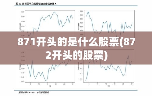 871开头的是什么股票(872开头的股票)