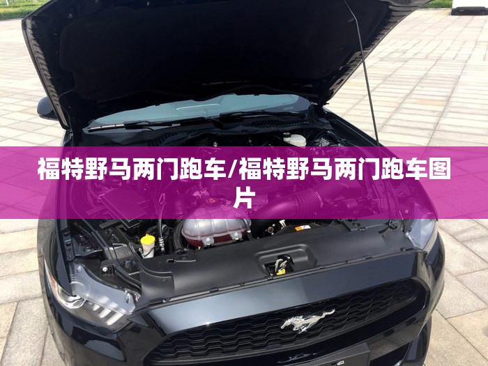 福特野马两门跑车/福特野马两门跑车图片