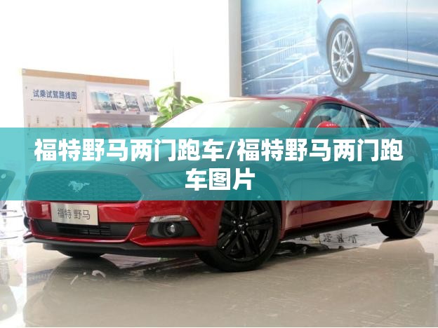 福特野马两门跑车/福特野马两门跑车图片