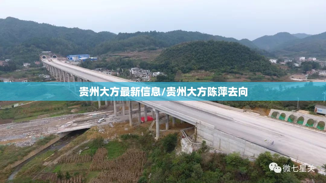 贵州大方最新信息/贵州大方陈萍去向