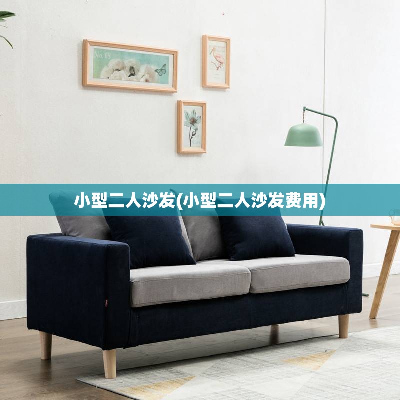 小型二人沙发(小型二人沙发费用) 小型二人沙发(小型二人沙发费用)