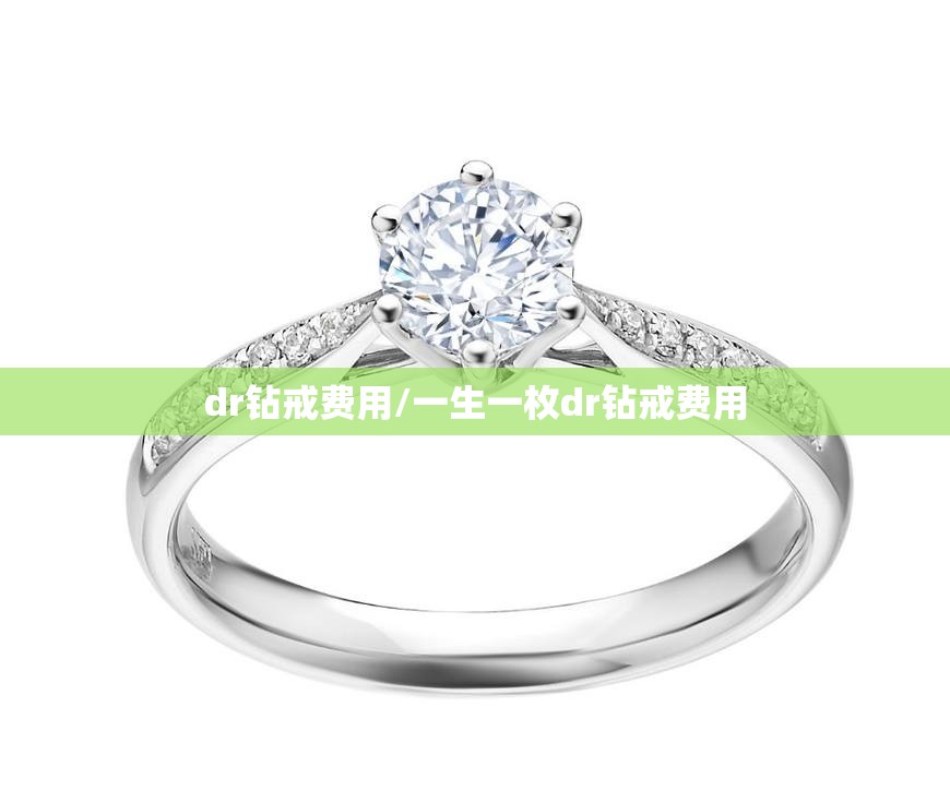 dr钻戒费用/一生一枚dr钻戒费用