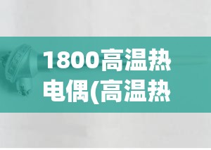 1800高温热电偶(高温热电偶低温不准) 1800高温热电偶(高温热电偶低温不准)