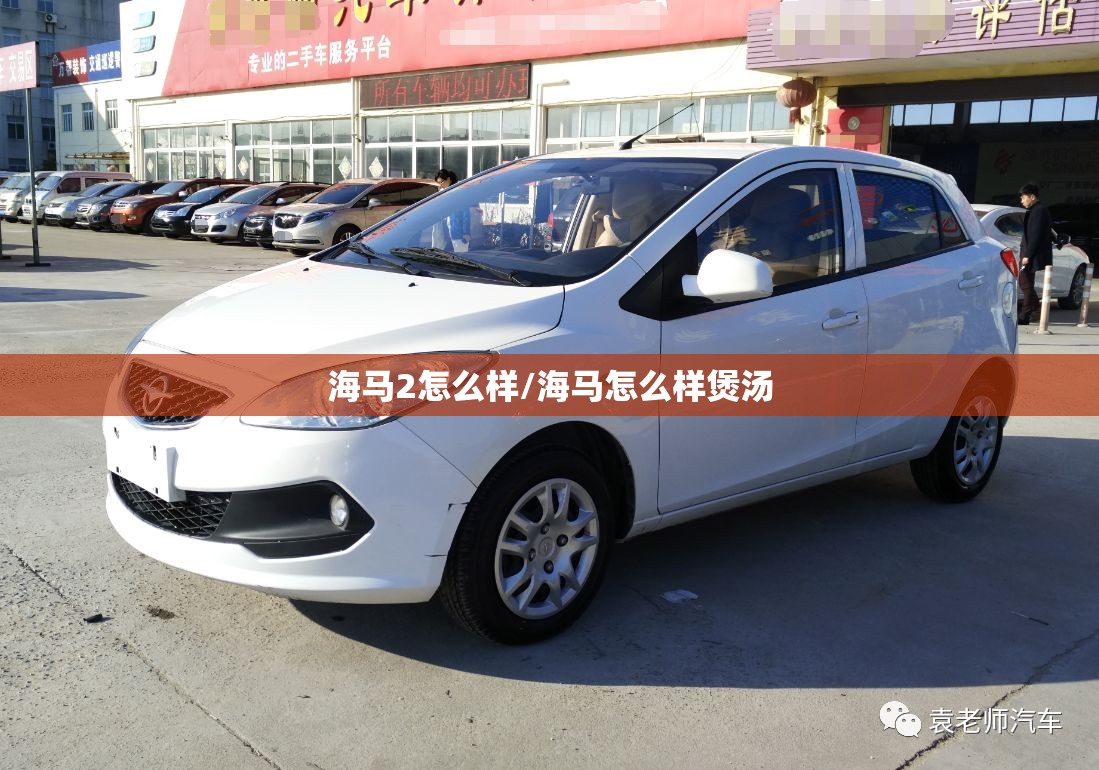 海马2怎么样/海马怎么样煲汤