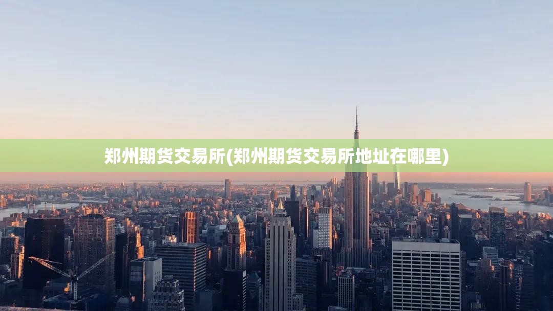 郑州期货交易所(郑州期货交易所地址在哪里)