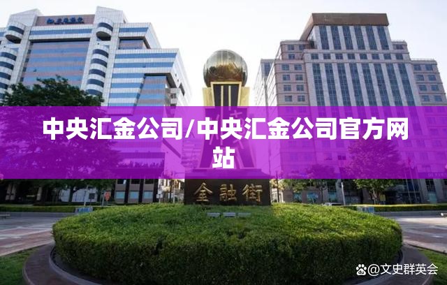中央汇金公司/中央汇金公司官方网站 中央汇金公司/中央汇金公司官方网站
