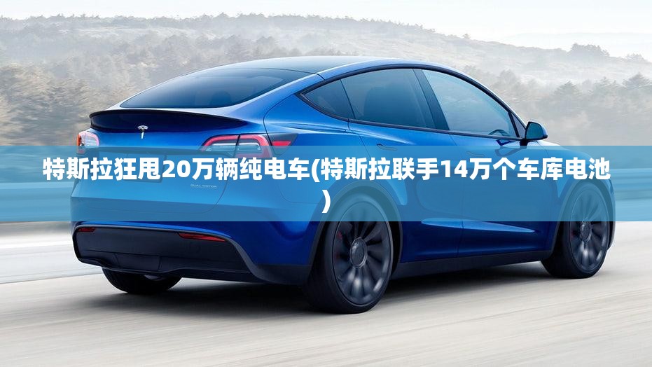 特斯拉狂甩20万辆纯电车(特斯拉联手14万个车库电池) 特斯拉狂甩20万辆纯电车(特斯拉联手14万个车库电池)