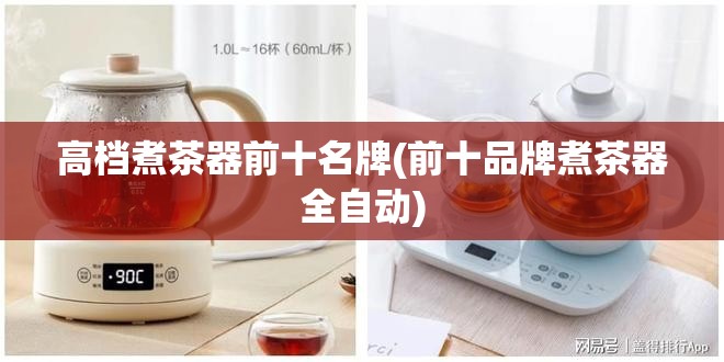 高档煮茶器前十名牌(前十品牌煮茶器全自动)