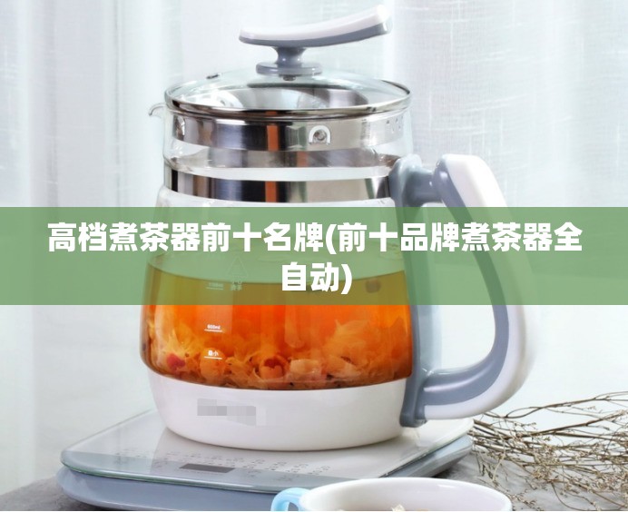 高档煮茶器前十名牌(前十品牌煮茶器全自动)