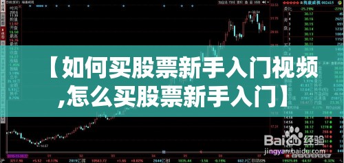 【如何买股票新手入门视频,怎么买股票新手入门】