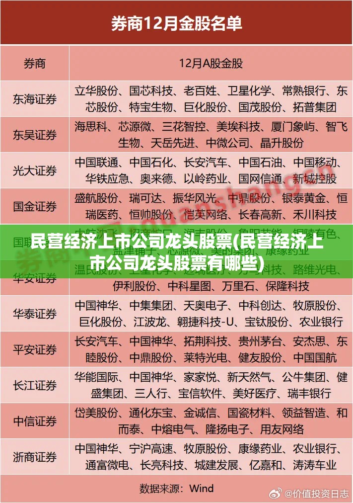民营经济上市公司龙头股票(民营经济上市公司龙头股票有哪些)