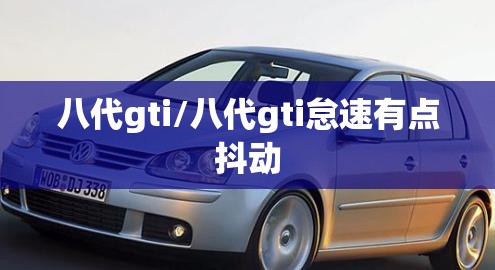 八代gti/八代gti怠速有点抖动