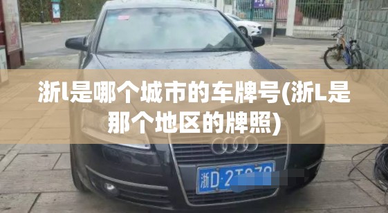 浙l是哪个城市的车牌号(浙L是那个地区的牌照)