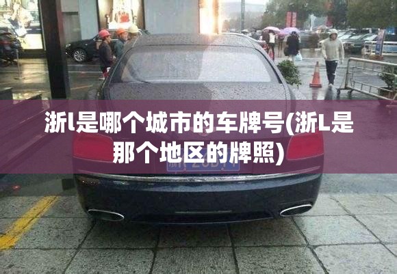 浙l是哪个城市的车牌号(浙L是那个地区的牌照)