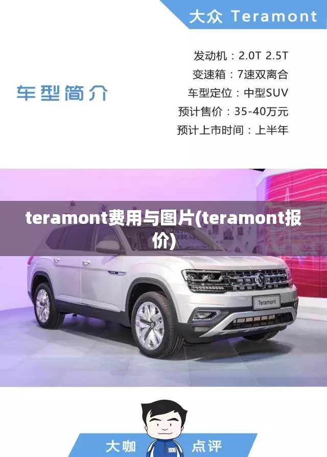 teramont费用与图片(teramont报价)
