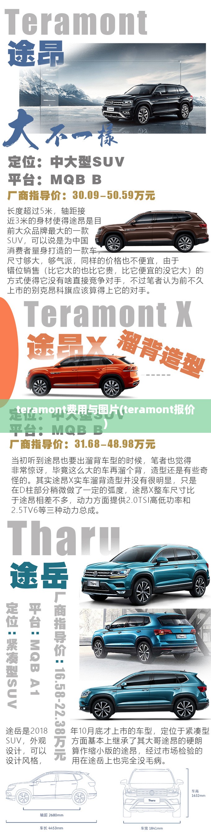 teramont费用与图片(teramont报价)