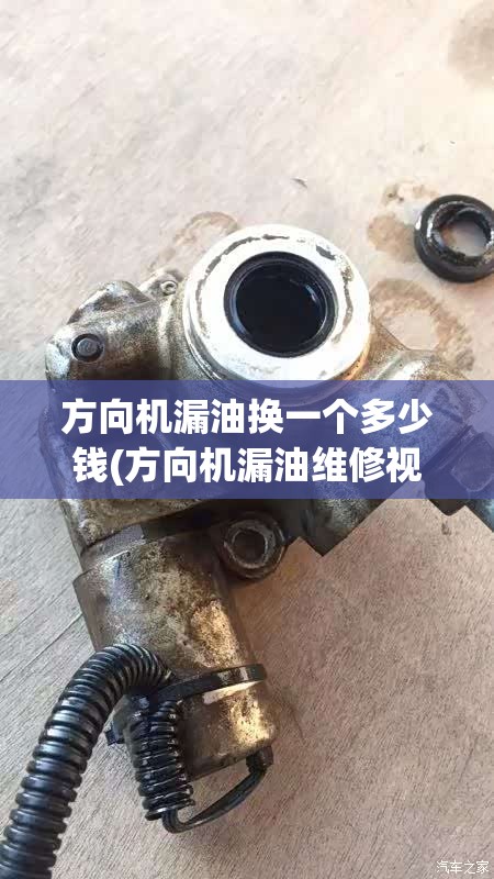 方向机漏油换一个多少钱(方向机漏油维修视频)