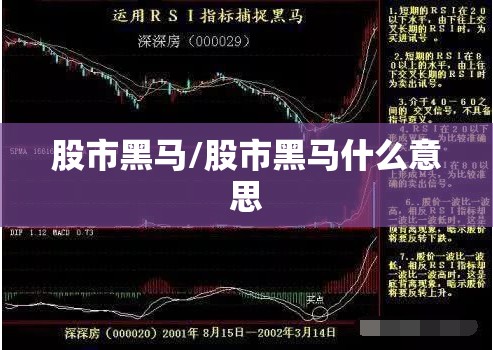 股市黑马/股市黑马什么意思 股市黑马/股市黑马什么意思