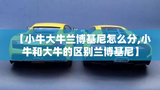 【小牛大牛兰博基尼怎么分,小牛和大牛的区别兰博基尼】