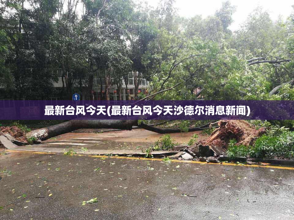最新台风今天(最新台风今天沙德尔消息新闻)