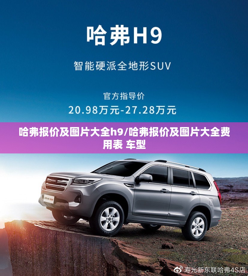 哈弗报价及图片大全h9/哈弗报价及图片大全费用表 车型