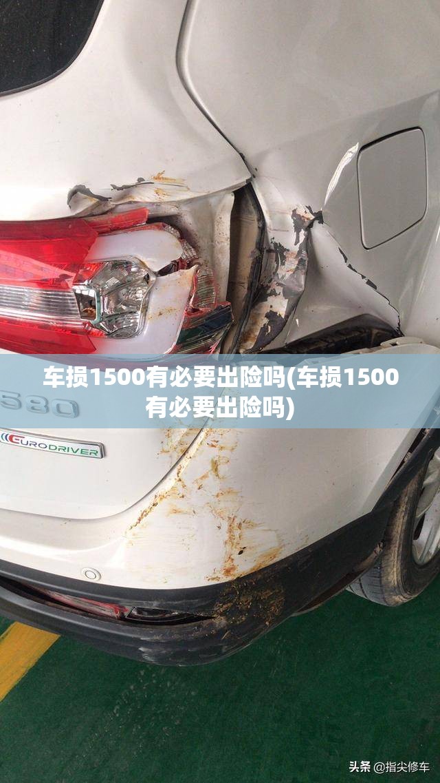 车损1500有必要出险吗(车损1500有必要出险吗)