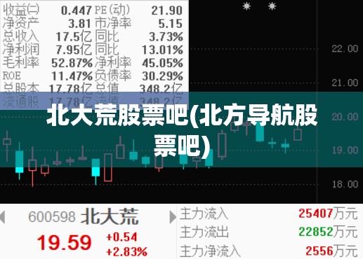 北大荒股票吧(北方导航股票吧)