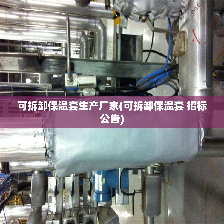 可拆卸保温套生产厂家(可拆卸保温套 招标公告)