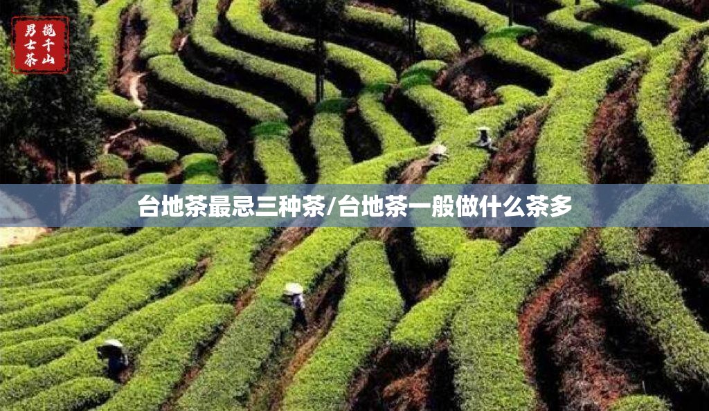 台地茶最忌三种茶/台地茶一般做什么茶多