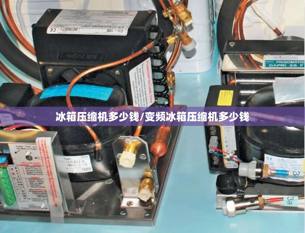 冰箱压缩机多少钱/变频冰箱压缩机多少钱