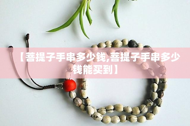 【菩提子手串多少钱,菩提子手串多少钱能买到】